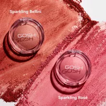 Blush pigment&eacute; &eacute;clat