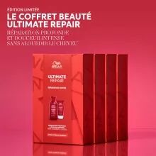 Coffret Ultimate Repair