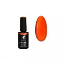 Coffret Wonderlack Color Glass