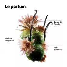 Huile Bi-Phase Réparatrice Absolut Repair Molecular