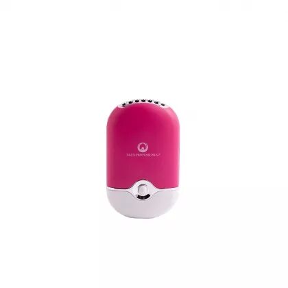 Mini ventilateur