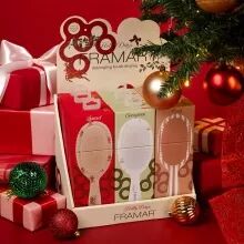 Pr&eacute;sentoir brosse pneumatique nylon Holly Days