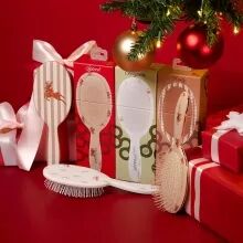 Pr&eacute;sentoir brosse pneumatique nylon Holly Days
