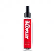 Spray Fixant Attractive - Ducastel Pro - 200 ml