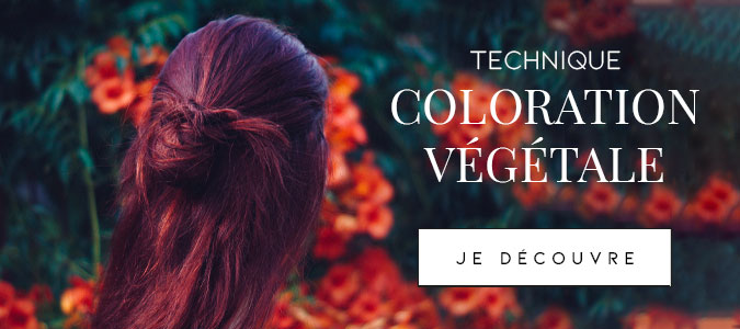 Technique Coloration Végétale / Naturelle